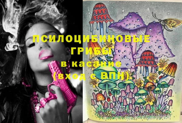 spice Арсеньев